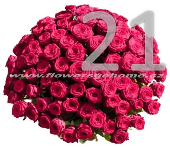 21 růží